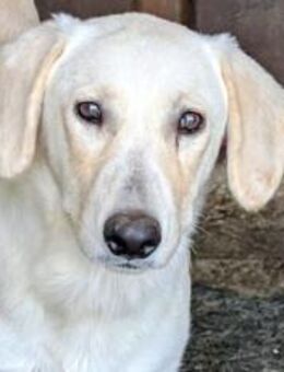 Sorgenkind Nils - München