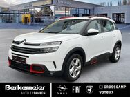 Citroën C5, Aircross Live Fenster el, Jahr 2019 - Münster