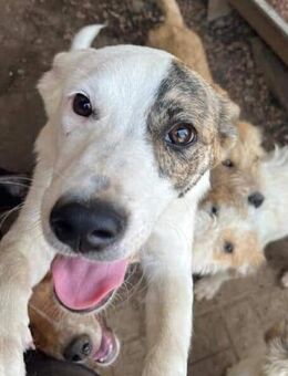 ONNI ~ bedeutet Glück🍀 - Duisburg