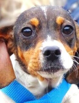 Kleine BRITA möchte ihr Leben beginnen - Gefrees