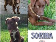 SORINA * Lebbensfreude pur - Duisburg