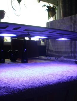 MEERWASSER Maxspect Razor r420r 180Watt 15000k (haben die 120 Grad Linsen) für Becken von 75cm-120 cm mit den Aufsetzhalterungen, OVP - Unna