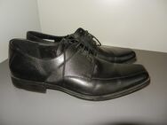 LLOYD Business Schuh schwarz Herren Gr. 12 (47) Herrenschuh - Chemnitz