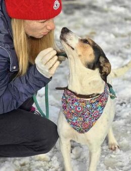 Ein Körbchen voller LIEBE für SARAYA♥️ - München