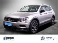 VW Tiguan, 2.0 TDI IQ DRIVE, Jahr 2020 - Brandis