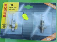 Halogen Autolampen Sockel H1/12V-55W - Kolkwitz