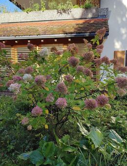 4,5 Zimmer Erdgeschosswohnung mit Traumgarten - Waldkirch