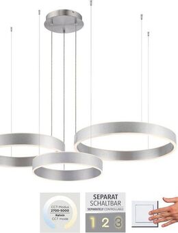 Paul Neuhaus Pendelleuchte SCULLI, LED fest integriert, warmweiß - kaltweiß