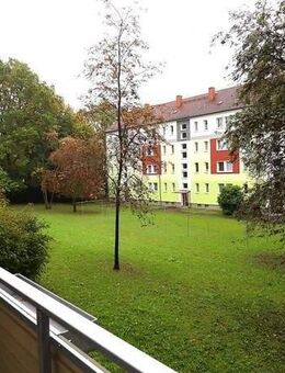 Den Herbst im neuen Zuhause genießen... - Chemnitz