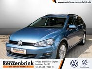 VW Golf Variant, Golf VII Cup 1, Jahr 2014 - Bramsche