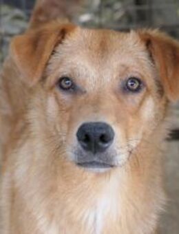 Unser süßer Espresso sucht - Kallmünz