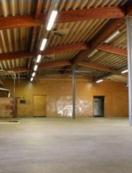 Lagerfläche in Halle ab 50qm kurzfristig monatsweise zu vermieten - Radolfzell (Bodensee) Zentrum