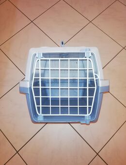 1 x Katzentransportbox oder 1 x Kleinhundebox - Argenschwang
