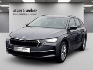 Skoda Octavia, 2.0 TDI Combi Selection Lodge, Jahr 2024 - Schlüchtern