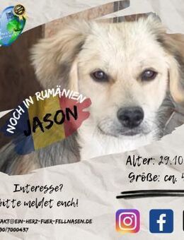JASON-bereit für die große, weite Welt - Waakirchen
