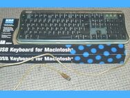 ❗USB-Keyboard für Apple von KNP mit 2x USB in OVP - Dassel