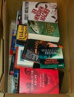 Bücher Pakete s/m/l/xl/xxl bis zu 110 Stück Krimi /Thriller/Roman - Aalen