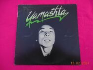 Vinyl : Yamashta - Raindog - - Allgäu - TOM - München Maxvorstadt