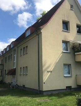 Ruhige Nachmieter gesucht! - Bielefeld