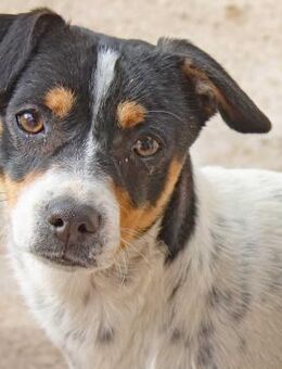 Nero, Name ist nicht Programm - Kettershausen