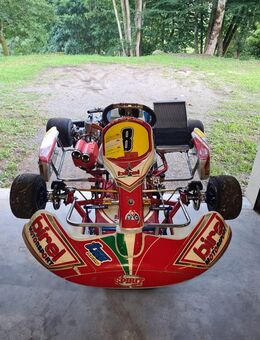 Schaltkart birel mit tm KZ10 und MyChron4 2t - Moos (Baden-Württemberg)