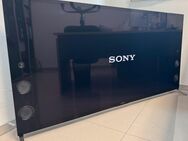 Sony 65“ 4K UHD 3D LCD Fernseher TV KD-65X9305C 100Hz - Verden (Aller)