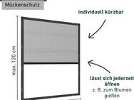 Windhager Insektenschutzplissee Plisseefenster ULTRA FLAT, halbtransparent, ohne Bohren, verspannt, Klemmfix, Insektenschutz Plissee für Fenster ohne bohren, 100 x 120 cm, anthra