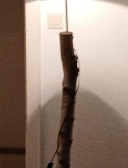 Stehlampe Birke - Lingen (Ems)