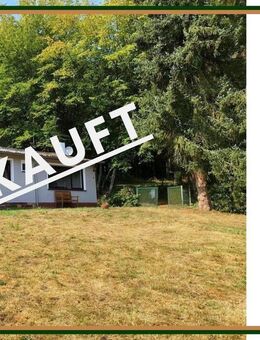 Kleines Häuschen umgeben von Wald und Natur mit ca. 9.000 m² Grundstück - Densborn