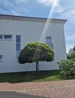 Schickes Einfamilienhaus mit Garten, Garage und 2 Stellplätzen in 97440 Werneck (ID 10460) - Werneck