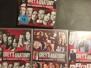 Grey's Anatomy: Die jungen Ärzte - Die komplette 7. Staffel | DVD - Essen