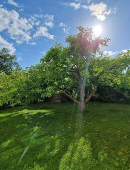 RESERVIERT - Wertstabil, modernisiert, sofort verfügbar - seltenes Angebot in Nördlingen - Nördlingen