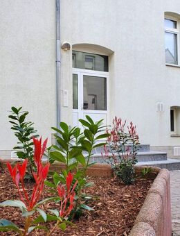 Bei Einzug mit neuen Türen! Großzügige 2-Raumwohnung mit Tageslichtbad - Halle (Saale)