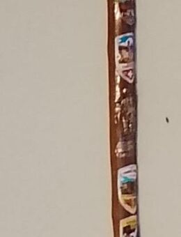 Wanderstock, Stocknagel: - Landau (Pfalz)