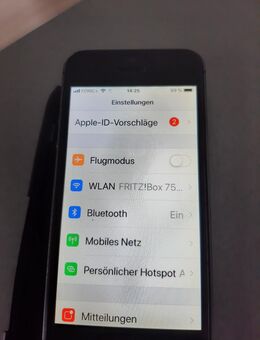 Apple iPhone 5S Spargelgrau - Odenbach