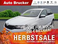 Skoda Rapid, 1.6 TDI Ambition, Jahr 2016 - Marktredwitz