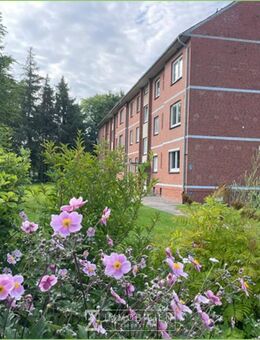 Modernisierte Wohnung mit Balkon** - Tönning