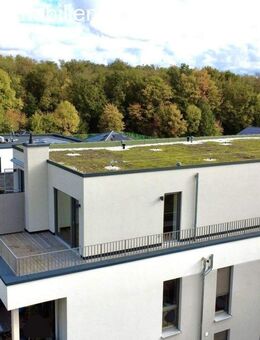 Exklusive Penthouse-Wohnung mit TG-Stellplatz zu vermieten - barrierefrei u. zentrumsnah - Bergheim (Nordrhein-Westfalen)