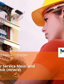 Teamleiter Service Mess- und Regeltechnik (m/w/d) - Gelnhausen