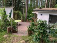 Ferienhaus am See im Wald - Wustrow