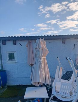 Garten abzugeben - Wittenberg (Lutherstadt) Wittenberg