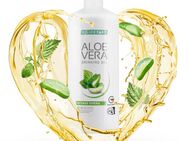 Aloe Vera Drinking Gel Sivera Brennessel Trink Saft 1 x 1 L MHD 12 2025 ganz frisch - Markkleeberg