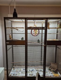 Papageienvoliere zu verkaufen - Bad Wildungen Zentrum