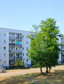 Waldesruh - frisch renovierte 4 Zimmer mit separater Küche und Balkon - Zossen
