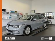 VW Golf, 1.0 TSI VIII Life, Jahr 2024 - Tostedt