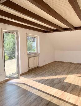 Sehr schöne große 2 Zimmer-Wohnung..mit großer Dachterrasse..ruhige Lage..!! - Rohr (Bayern)