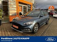 Ford Focus, 1.5 Active EcoBoost, Jahr 2019 - Weinheim