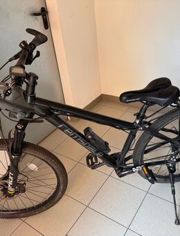 Remsdale Ebike schwarz - Rudersberg