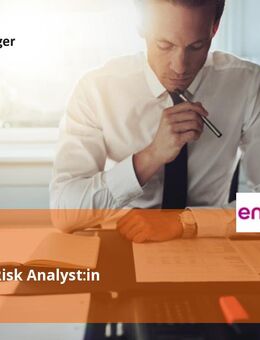 (Senior-) Risk Analyst:in - Hannover