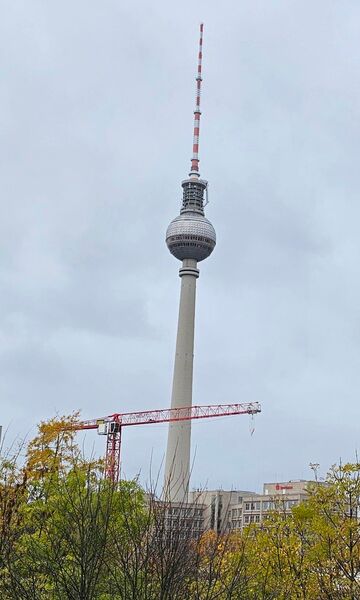 Junger mann gesucht fuer TG, gerne Hetero Ausländer Anfänger